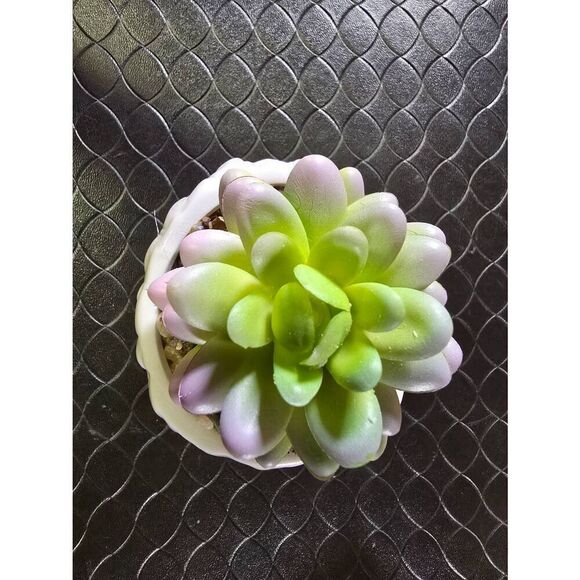 The Golden Girls Sophia Face Mini Ceramic Planter With Faux Succulent - Picture 6 of 7